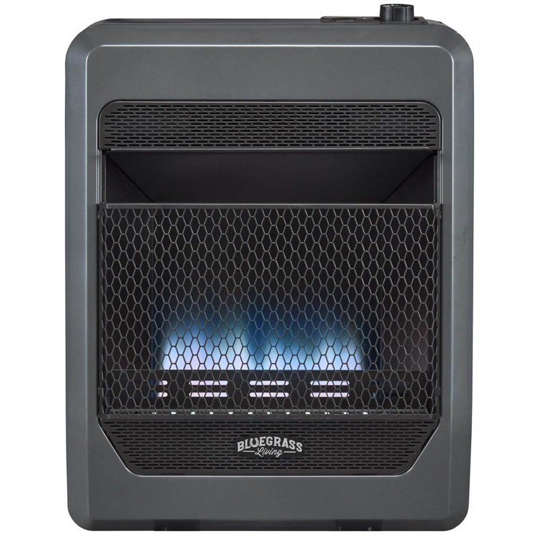 Bluegrass Living 20000 BTU Propane High Efficiency Space Heater with